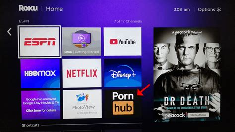 roku tv porn apps|How to Watch Porn on Roku In 2024